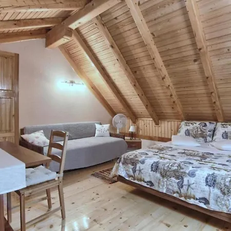 Xxl Ana Biograd Na Moru 1-22 Gosta * Polaca