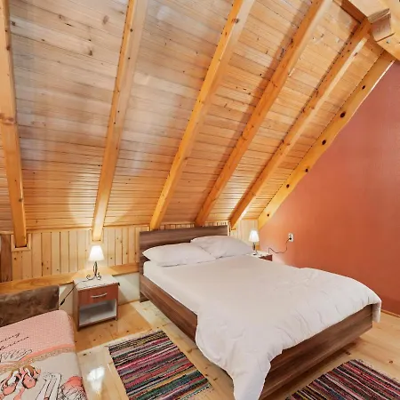 Villa Xxl Ana Biograd Na Moru 1-22 Gosta