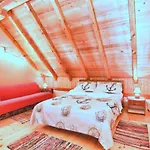 Vila Xxl Ana Biograd Na Moru Do 22 Gosta Polaca