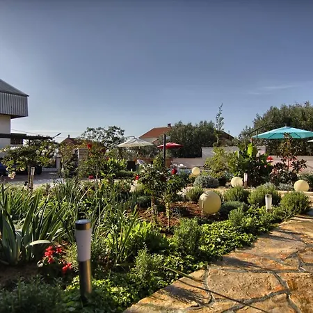 Villa Xxl Ana Biograd Na Moru Do 22 Gosta Polaca