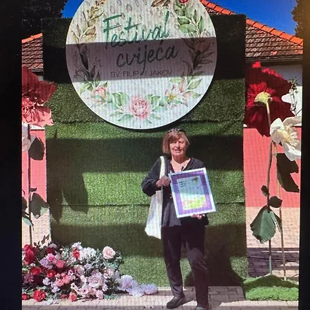Xxl Ana Biograd Na Moru Do 22 Gosta Villa Polaca