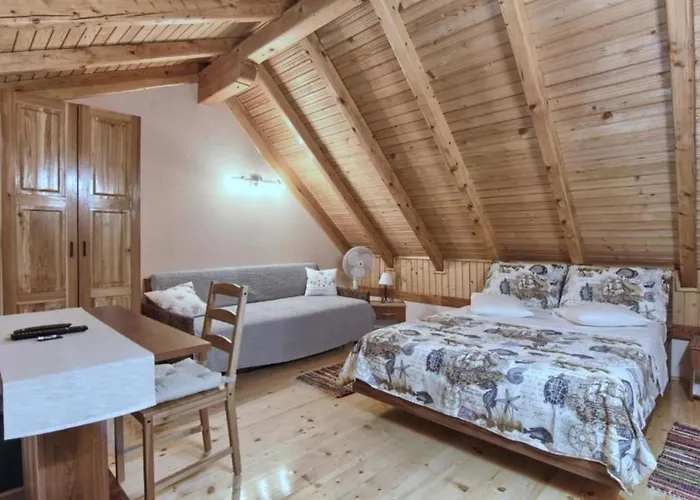 Xxl Ana Biograd Na Moru Do 22 Gosta * Polaca